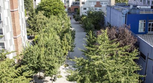 fieldwork_tierce_foret_terrace_15(1)